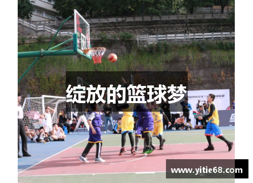 绽放的篮球梦